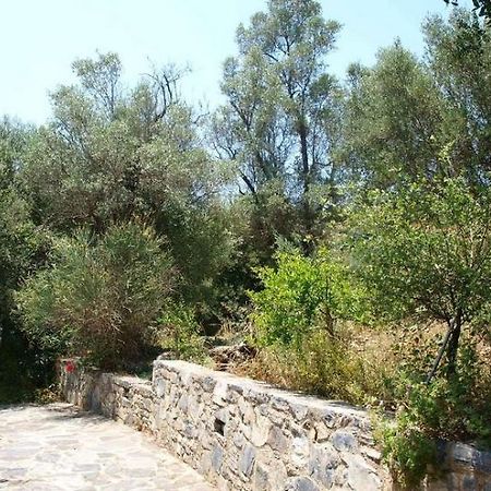 Aposperitis Villas Theodhóra المظهر الخارجي الصورة